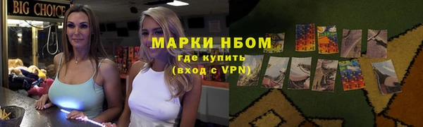 гидра Надым