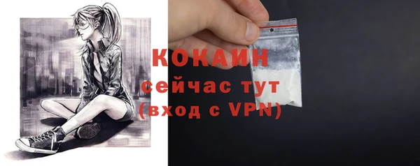гидра Надым