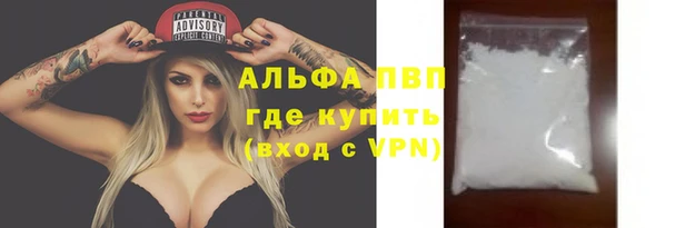 гидра Надым