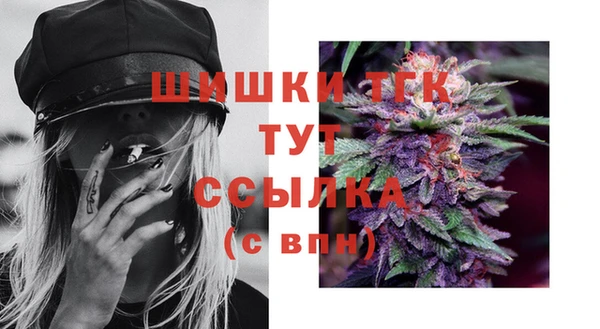 гидра Надым