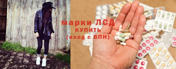 гидра Надым